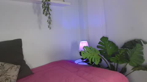 Laura online show from 02.10.26