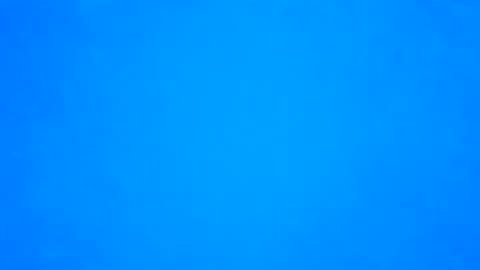 cwlizzy online show from 12.01.25