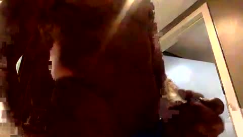 Snapshot of d33d667696 chatting on 07.31.26 Dday2 online show from 07.31.26
