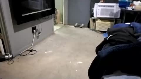 da941987 online show from 12.02.24