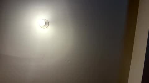 daboss41126 online show from 03.18.26