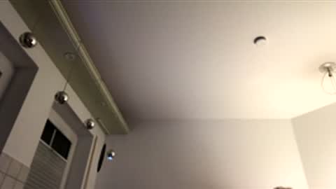 dachdecker7269 online show from 12.16.25