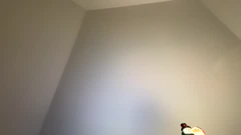 dachdecker7269 online show from 02.09.26