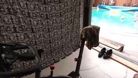 bas online show from 09.27.25