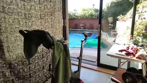 bas online show from 11.09.25