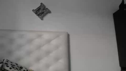 tayler online show from 04.24.26