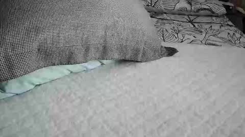daddyslittleebony online show from 04.29.26