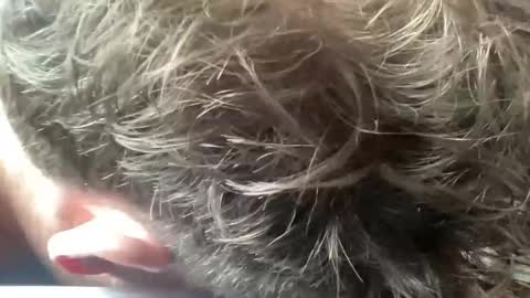 daddyswede23 online show from 04.09.26