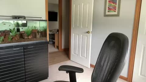 daddyweis online show from 06.26.26