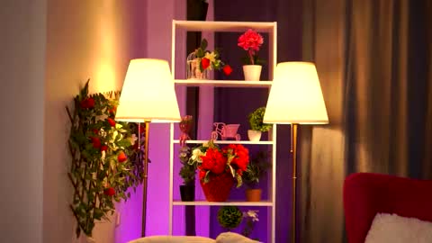 Daisy online show from 03.16.26