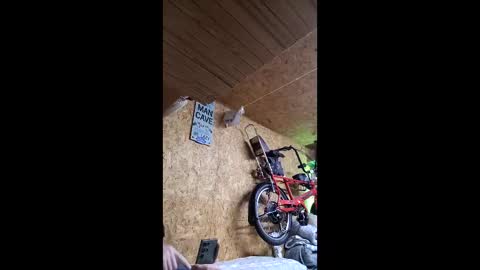 dave online show from 04.22.26