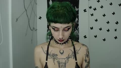 dakota online show from 12.07.24