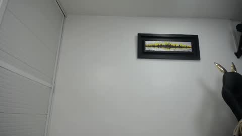 dalia dubey online show from 02.17.25