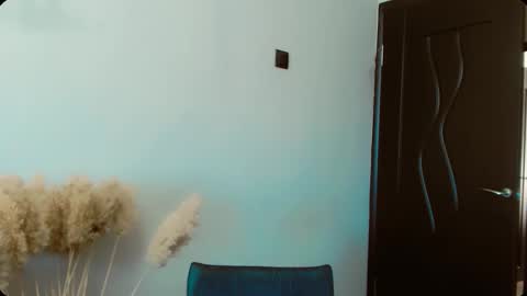 Snapshot of dalidayes chatting on 02.13.26 Dali online show from 02.13.26