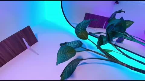 Dalila online show from 11.08.25