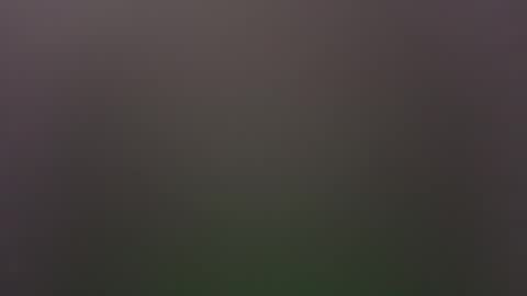 Snapshot of dallasjmg chatting on 02.25.26 dallasjmg online show from 02.25.26