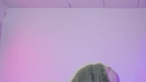 Snapshot of damn_that_booty chatting on 02.06.25 Criss online show from 02.06.25