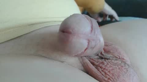 Damocles online show from 10.20.25