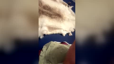 damontsi online show from 03.22.26