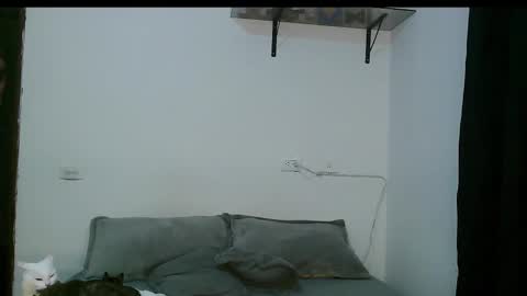 Snapshot of dan_yagami chatting on 03.05.25 Dan and Noah online show from 03.05.25