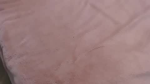  Danna Lovense is activeThere are legends that in this room all your wishes can come true  Private is Open online show from 01.11.25