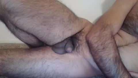 danazh online show from 12.20.25