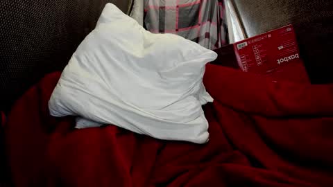 Snapshot of daniel_like chatting on 03.24.26 Just Ben online show from 03.24.26