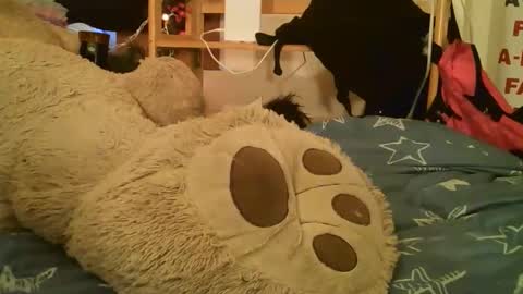 DANIELA online show from 03.17.26