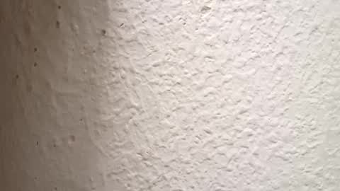 Snapshot of danielhot24 chatting on 10.03.25 Antidotehot24 online show from 10.03.25