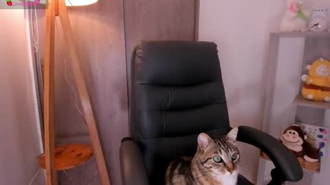 Snapshot of daniellerose_ chatting on 11.02.25 Danielle Rose online show from 11.02.25