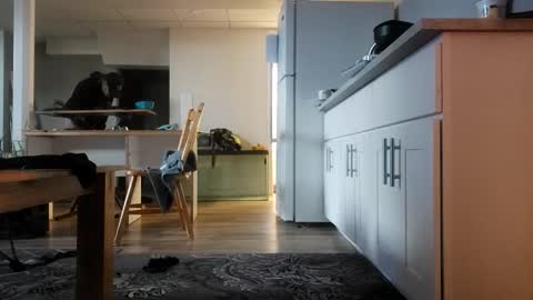 Snapshot of danimal5000 chatting on 11.12.25 danimal5000 online show from 11.12.25