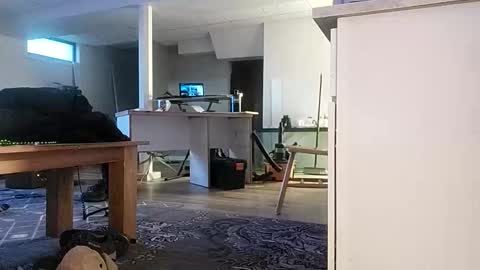 Snapshot of danimal5000 chatting on 11.17.25 danimal5000 online show from 11.17.25