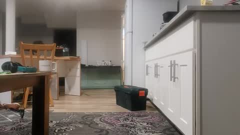 Snapshot of danimal5000 chatting on 11.18.25 danimal5000 online show from 11.18.25