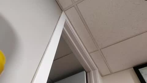 Snapshot of danimal5000 chatting on 03.05.26 danimal5000 online show from 03.05.26