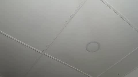 dannaberlin_0 online show from 02.12.25