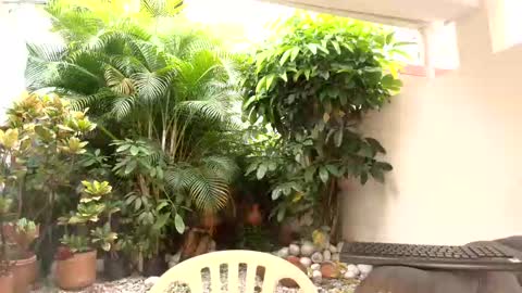 Snapshot of dannadoll69 chatting on 10.12.25 Dannamunoz130 online show from 10.12.25