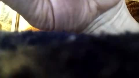 Snapshot of dannowisc chatting on 04.05.26 dannowisc online show from 04.05.26