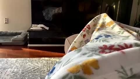 dannyboy621 online show from 10.26.25