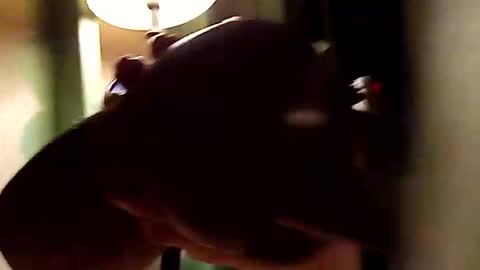 dano9696 online show from 11.01.25