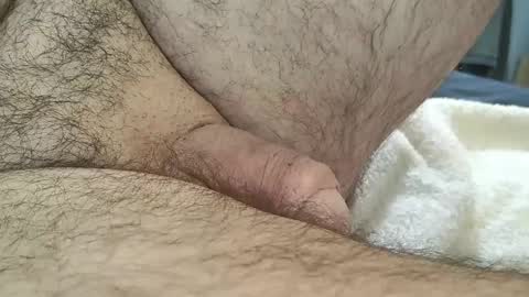 dapppper online show from 09.09.25