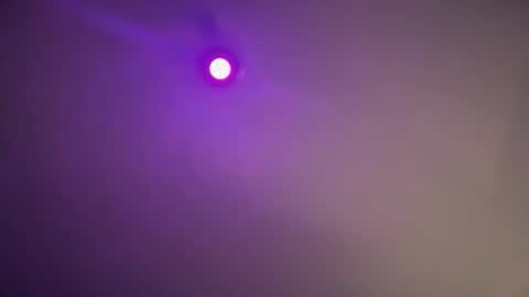 Snapshot of daquim chatting on 11.12.25 daquim online show from 11.12.25