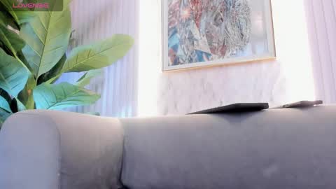    online show from 11.02.25