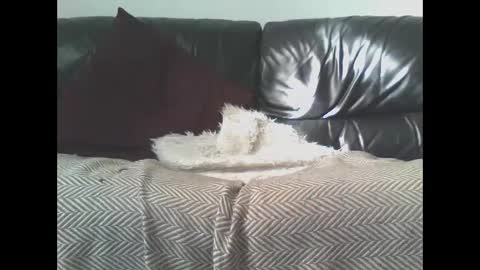 DaRealDonDaddy online show from 03.09.25