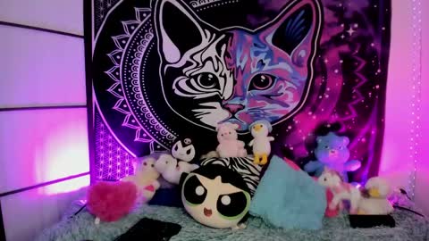 daryimiau online show from 04.29.26