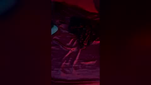 daturasgarden online show from 06.29.26