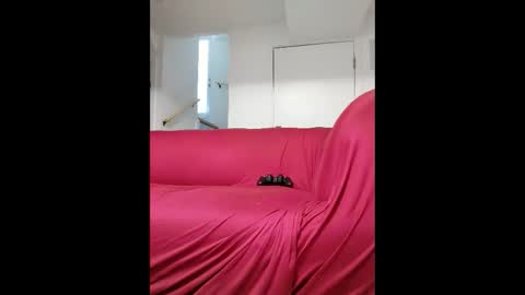 dave3891 online show from 02.13.26