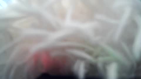 Snapshot of daverz3 chatting on 03.04.26 daverz3 online show from 03.04.26