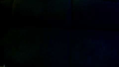 Sophie  Dave online show from 12.26.24