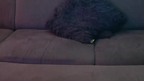 Sophie  Dave online show from 01.08.25