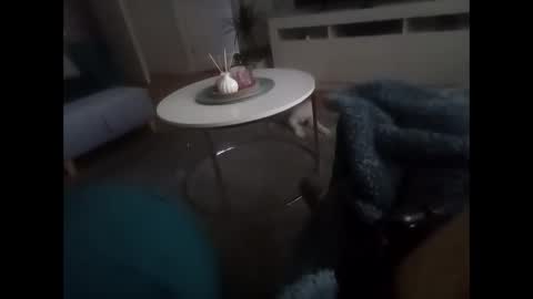 davf76 online show from 02.19.26